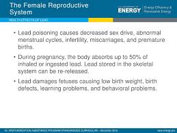 Ppt Health Effects Of Lead Powerpoint Presentation Free Download Id 6690253