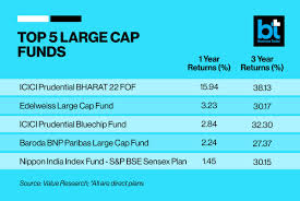 15 Best Large Cap Mutual Funds To Invest In India 2023