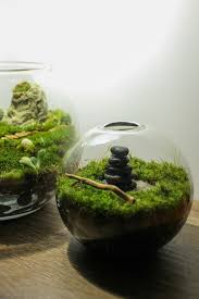 Mini Terrariums Terrarium Mini Terrarium Terrarium Shop