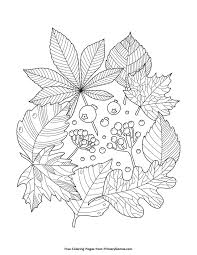 Okul Oncesi Mandala Boyama Calythmasy Boyama Sayfasi