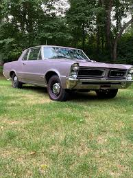 Image result for Iris Mist 1965 GTO