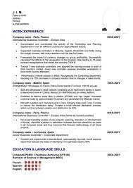 Need some inspiration to create a professional cv? Example Of A Good Cv For An Mba Application