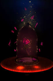 · made from real flowers that went . Artstation 3d Rose Of Beauty And The Beast Anthony Toupain