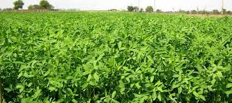 Customers also bought see product details. à¤¹à¤° à¤š à¤° à¤• à¤² à¤ à¤• à¤¸ à¤¨ à¤¸à¤° à¤¦ à¤¯ à¤® à¤•à¤° à¤¬à¤°à¤¸ à¤® à¤• à¤¬ à¤µ à¤ˆ