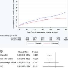 There is no specific warfarin diet. Pdf Apixaban 5 And 2 5 Mg Twice Daily Versus Warfarin For Stroke Prevention In Nonvalvular Atrial Fibrillation Patients Comparative Effectiveness And Safety Evaluated Using A Propensity Score Matched Approach