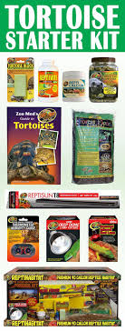 Tortoise Starter Kit Everything You Need To Set Up A Tortoise Habitat Comes W Zoo Med S Guide To Tortoises Forest Tortoises Tortoise Food Tortoise Habitat