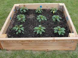 Hi bill, i love your raised garden it is beautiful. How To Plan A Raised Garden Bed Dengarden