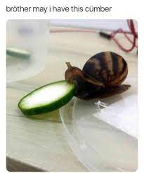 24 Funny Animal Pictures You Really Just Need To See For Yourself Funny Animal Pictures Funny Animals Animals