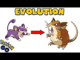 Evolving Rattata To Raticate Pokemon Go Evolution Youtube