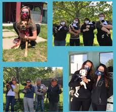 It can be fun, exciting, and as you okay, first of all, breathe. On National Rescue Dog Day Roar Spotlights The Muppets Litter
