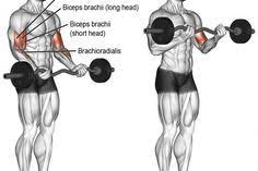 training panosundaki pin