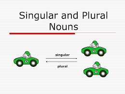Singular And Plural Nouns Including Irregular Plural Nouns Eage Tutor