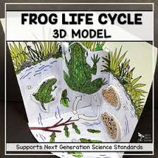 Frog Life Cycle 3d Model Did You Know That When Your Students Are Developing And Using Models They Are Engaging I Lifecycle Of A Frog Life Cycles Frog Life