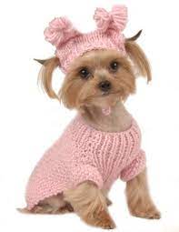 Electronics Cars Fashion Collectibles More Ebay Crochet Dog Clothes Dog Clothes Patterns Dog Sweaters