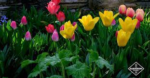 They were not intended as a complement to home or architecture, but conceived as independent spaces, arranged to grow and display flowers and. What Is A Flower Garden A Beginner S Guide To Growing Flowers At Home Gardening Channel