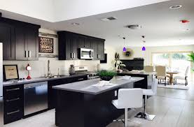 Kitchen remodeling companies may install new appliances, a sink, countertops, cabinets, flooring, fixtures, an island, lighting, and painting the walls. Kitchen Remodel Denver Colorado Remodel Kitchen