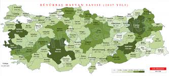 Turkiye Buyukbas Hayvan Sayisi Haritasi 2017 Yili Drdatastats