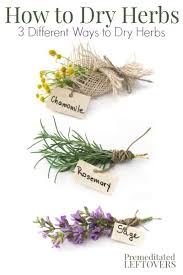 Maybe you would like to learn more about one of these? How To Dry Herbs And Flowers