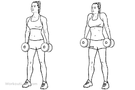 Insider's herrine ro and strictly dumpling's mike chen go on a dumpling tour of nyc. Dumbbell Shrug Exercise Guide Workoutlabs Shrugs Workout Upper Body Dumbbell Workout Workout Guide