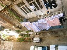 Check spelling or type a new query. Clothes Line Wikipedia