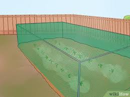 To grow cucumbers, look for a growing spot that gets plenty of full sun and has loose, sandy soil. How To Grow Cucumbers With Pictures Wikihow