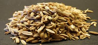 Maybe you would like to learn more about one of these? Care Of Herbs And Starting Herbs From Seed University Of Maryland Extension