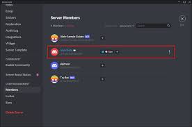 How To Check Who Owns A Discord Server