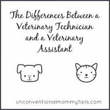 Quotes About Veterinary Medicine 27 Quotes