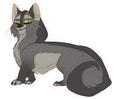 Fanart Graystripe By Happyoreoday On Deviantart Rootspring pose exercise + announcement. fanart graystripe by happyoreoday on