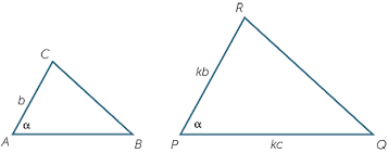 Two similar figures are called congruent figures. Scale Drawings And Similarity