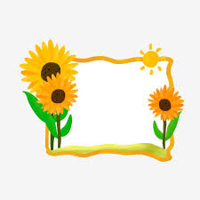 Budidaya bunga matahari merupakan tanaman semusim. Gambar Bunga Matahari Perbatasan Botani Digambar Tangan Perbatasan Tanaman Perbatasan Tanaman Yang Digambar Tangan Perbatasan Bunga Matahari Png Transparan Clipart Dan File Psd Untuk Unduh Gratis