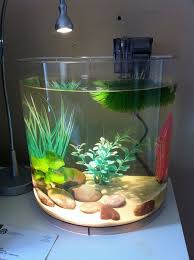 3 5 Gallon Acrylic Betta Tank Cool Fish Tanks Fish Tank Terrarium Betta Tank