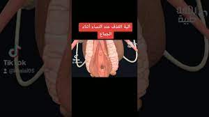 ٦٠ ثانيه شاهد آلية القذف عند النساء أثناء الجماع tiktok video, female  ejaculation - YouTube