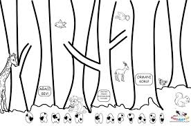 Orman Haftasi Boyama Sayfasi Kirtkirtla Ormanlar Hayvanlar