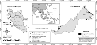 True virgin mangrove forest in peninsular malaysia is now largely limited to a few locations (e.g. Taxonomical Diversity Of Benthic Foraminifera In Mangrove Sediments Initial Insight Into Total Diversity From Malaysia To Worldwide Mangrove Forests Records Springerlink
