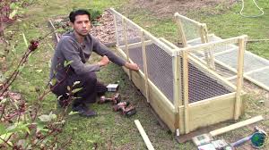 Raised vegetable garden with fence. Keep The Critters Out Fencing Up The Raised Bed Youtube