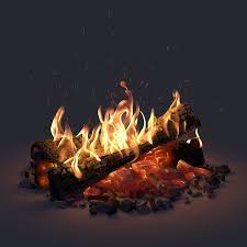 3d Model Campfire Camp Turbosquid 1257492