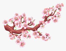 To created add 24 pieces, transparent bunga images of your project files with the background cleaned. Sakura Png Bunga Sakura Vector Png Transparent Png Transparent Png Image Pngitem