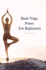Hohe qualität, große auswahl und faire preise. Basic Yoga Poses For Beginners Diy Thought