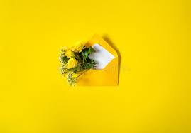 Iceberg roses are grown in gardens as well as used in flowers have the ability to brighten up any season. Envelope With Yellow Roses And White Filler Flowers Gypsophila On Bright Yellow Background Top View Flat Lay Stock Photo Image Of Concept Joyful 154437416