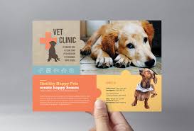 And a passion for making a difference in your life. Vet Clinic Flyer Template In Psd Ai Vector Brandpacks