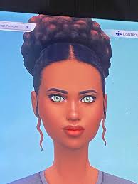 Sims action figure should come with kale