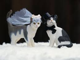 A wedding cake topper with a black cat and his owners. Wedding Cake Topper Cats Bride And Groom Animal Lover Kitties Top Hat Veil Romantic Unique Whimsica Cat Wedding Cake Topper Cat Wedding Cat Cake Topper