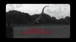 Dinosaurs before dark (book) this page contains worksheets that you can use with the magic tree house book, dinosaurs before dark. Real Dinosaur Caught On Camera In Barbados 2017 Real Life Brontosaurus Supersaurus Video Dailymotion