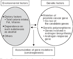 Thankfully, it can be treated with a high likelihood of survival if diagnosed early. Pdf Risk Factors For Prostate Cancer Semantic Scholar