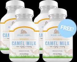 When you can find camel milk, it is expensive it is strictly illegal to import or sell camel milk in the us, as the fda has not yet created quality they just kept prescribing antibiotics which i refused to take. Free Camel Milk Sample Desert Farms