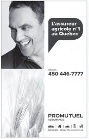 partenaire principal