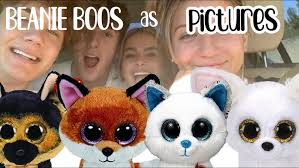 Beanie Boo Series: Legacy