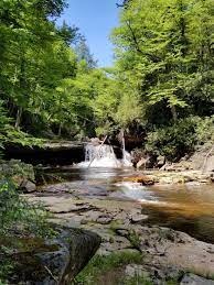 (806 m) at the outlet of red creek to 4,123 ft. Red Creek In Dolly Sods Wilderness West Virginia Campingandhiking