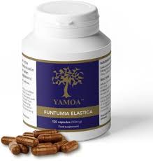 Image result for Funtumia africana